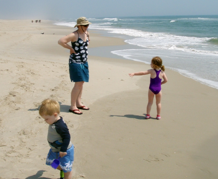 Exploring the Shore